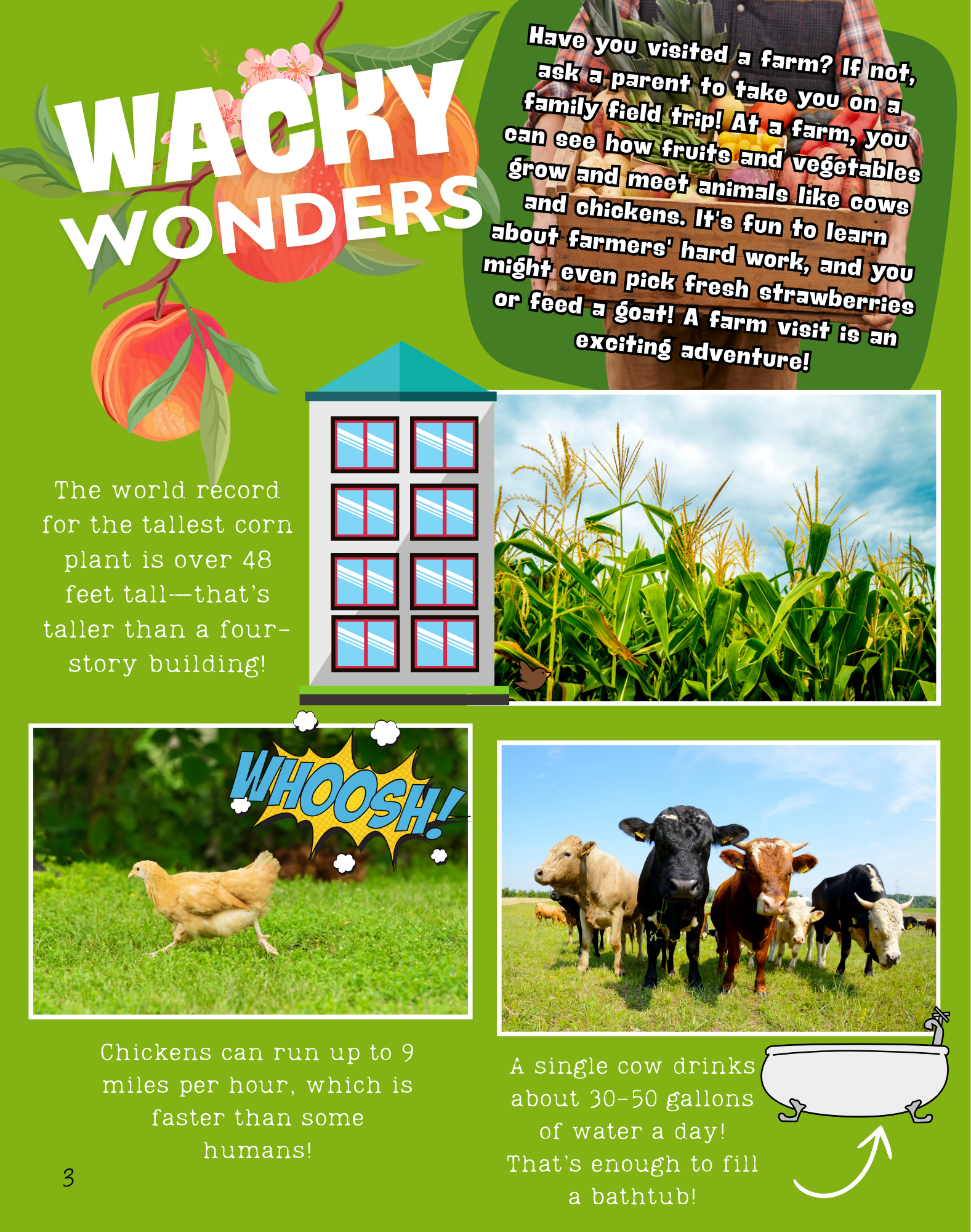 Sprouts Magazine  May 2025_WackyWonders